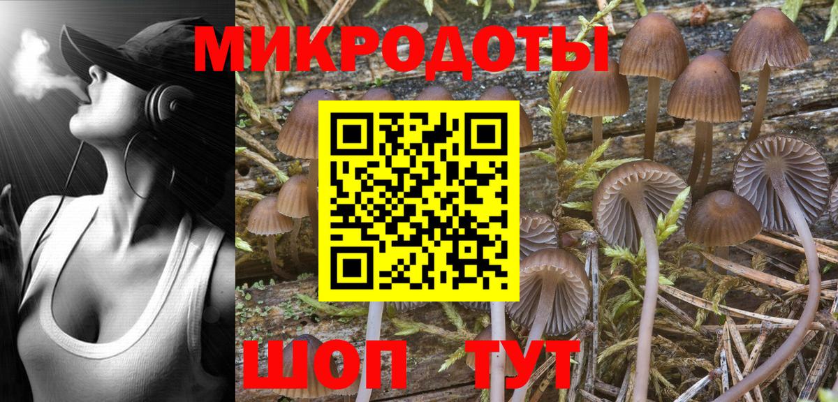 Псилоцибиновые грибы Psilocybe  Псилоцибиновые грибы прущие грибы  Вход с VPN  Егорьевск 